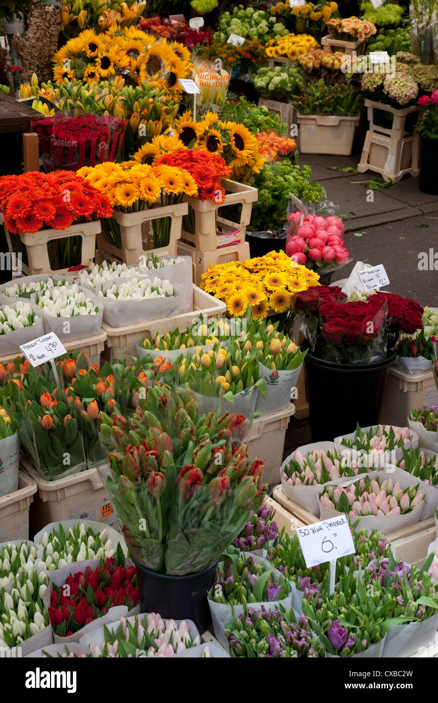 Blume-Stall, Bloemenmarkt, Amsterdam, Holland, Europa Stockfoto