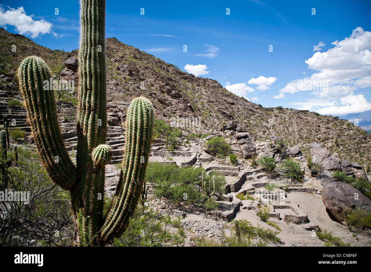 Ruinen von Quilmes, Provinz Salta, Argentinien. Stockfoto