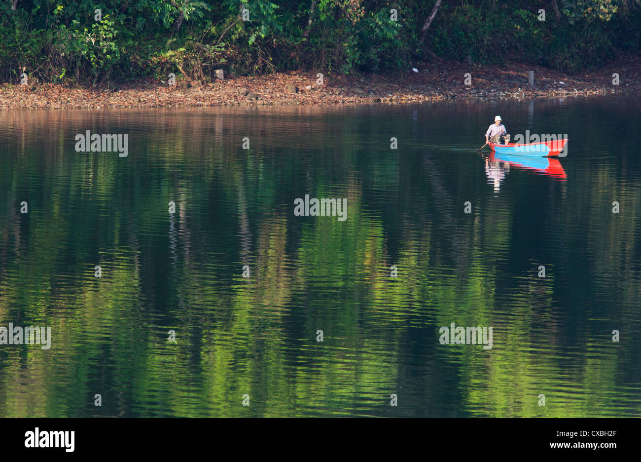 Mann in einem Ruderboot am Phewa Tal, ein Süßwasser-See in Pokhara, Nepal Stockfoto