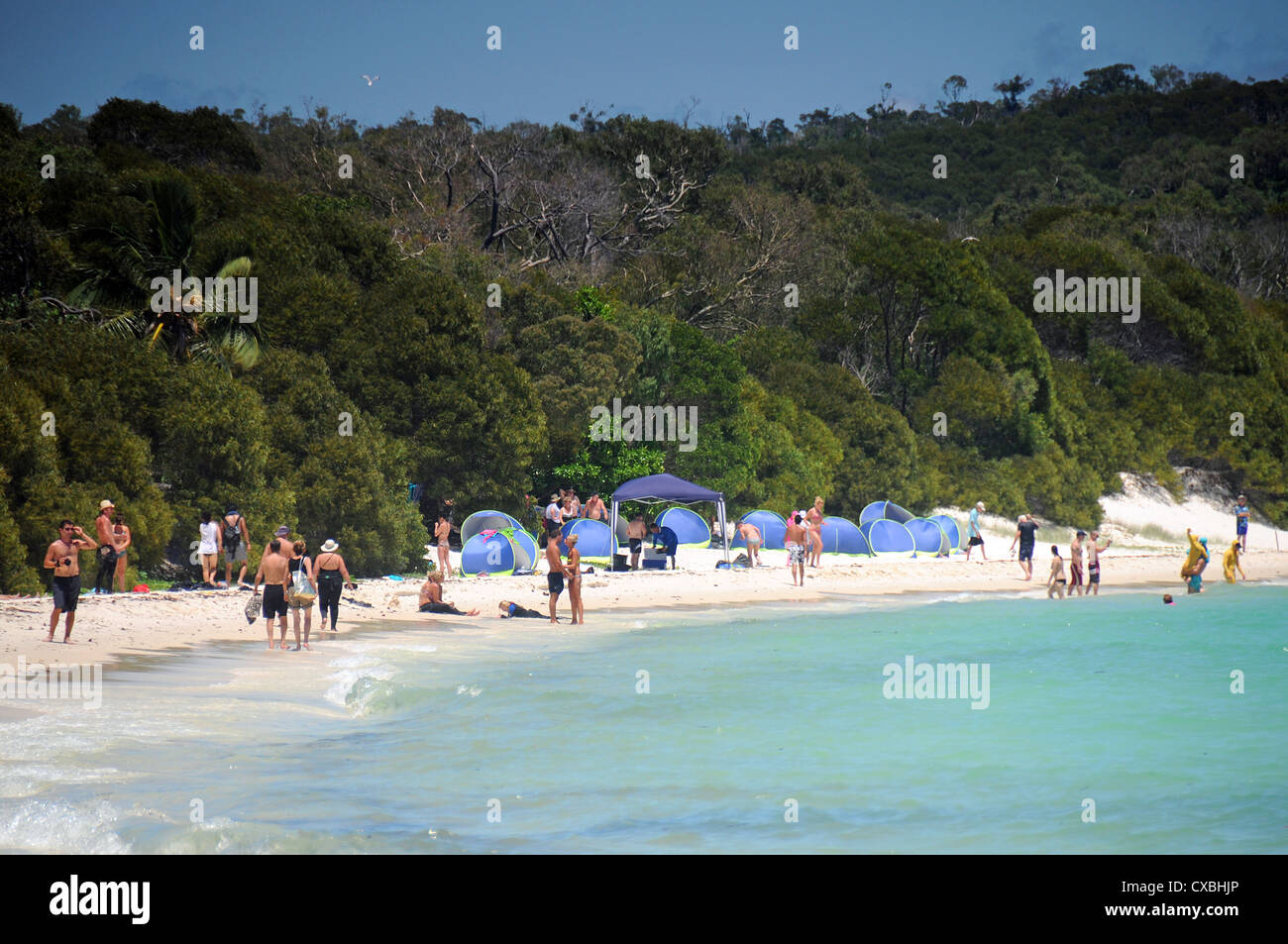 Whitsunday Island Nationalpark Whitehaven Beach, Queensland-Australien Stockfoto