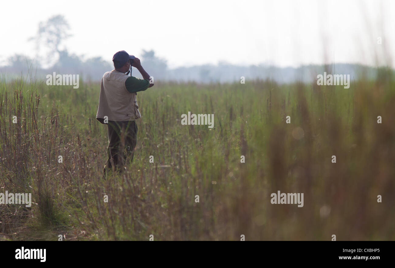 Nepalesische Mann sucht Vögel durch sein Fernglas, Chitwan Nationalpark, Nepal Stockfoto