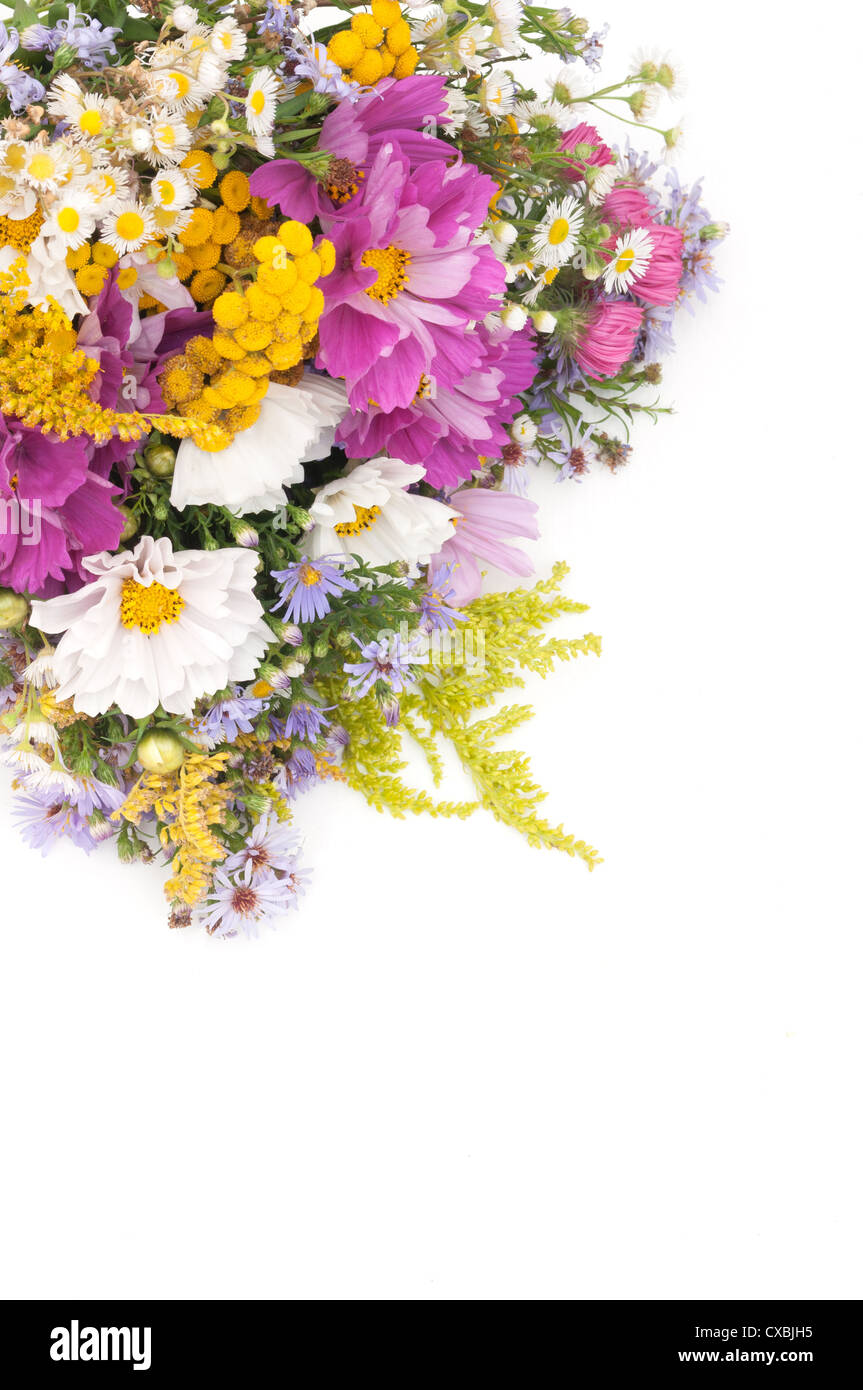 Bouquet von wilden Sommer Blumen n weißen Hintergrund Stockfoto