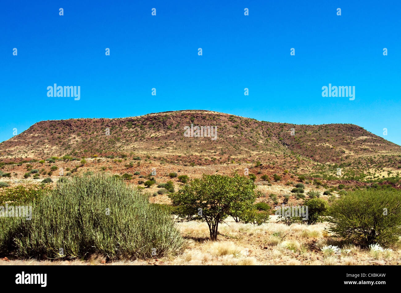 Damaraland, Kunene Region, Namibia, Afrika Stockfoto