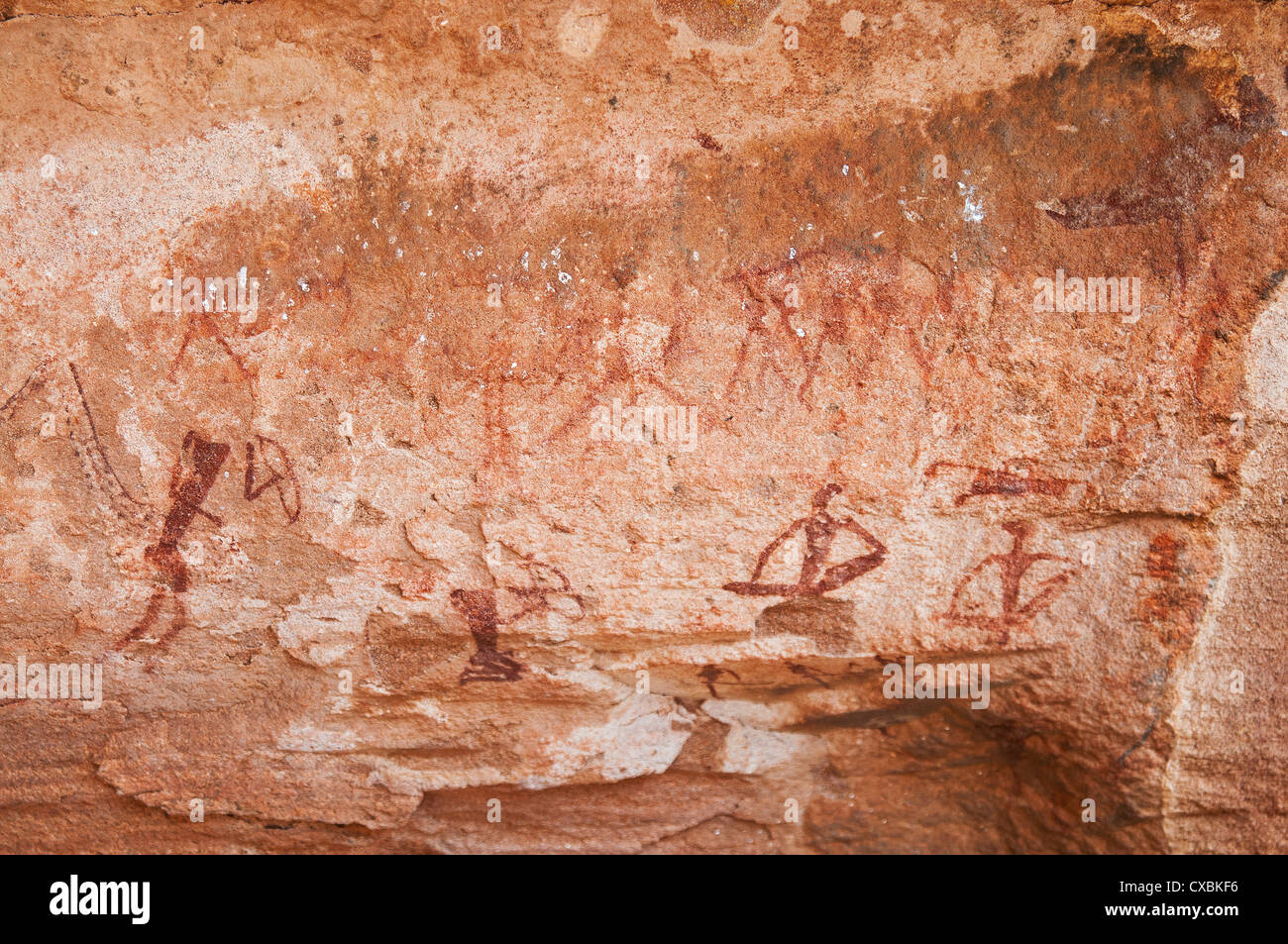 Felszeichnungen, Twyfelfontein, UNESCO-Weltkulturerbe, Damaraland, Kunene-Region, Namibia, Afrika Stockfoto