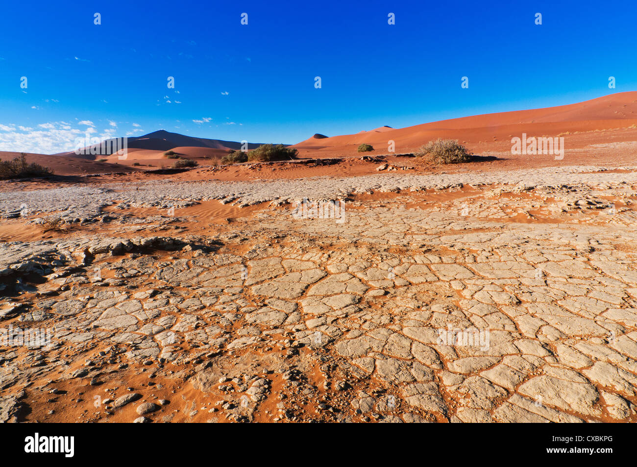 Blick auf Dünen, Sossusvlei, Namib-Wüste Namib Naukluft Park, Namibia, Afrika Stockfoto