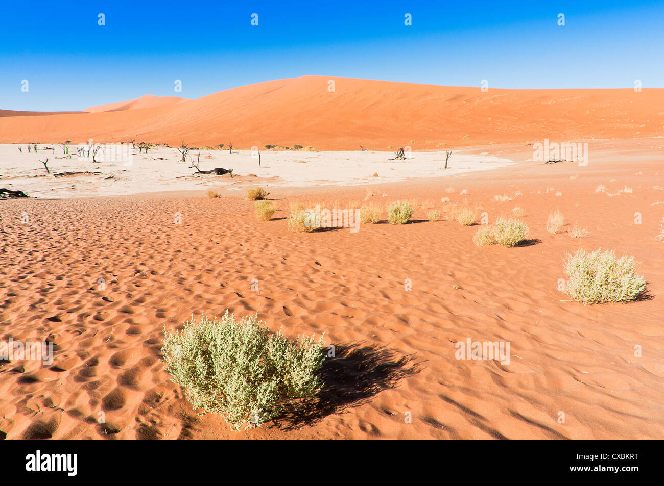 Blick auf Dünen, Sossusvlei, Namib-Wüste Namib Naukluft Park, Namibia, Afrika Stockfoto