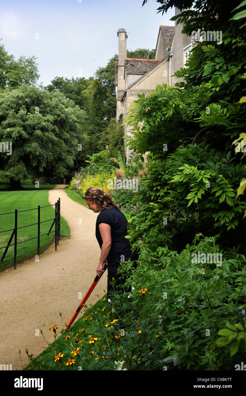 Eine weibliche Gärtner mit Einfassung Scheren arbeiten entlang eines Pfades Worcester College in Oxford Stockfoto