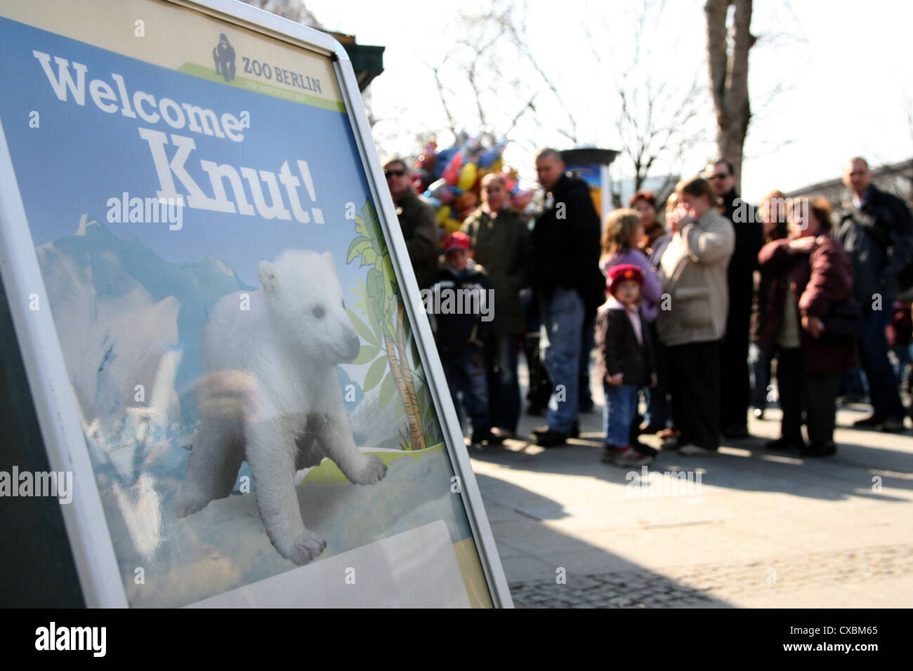 Berlin Welcome Knut-Plakat Stockfoto