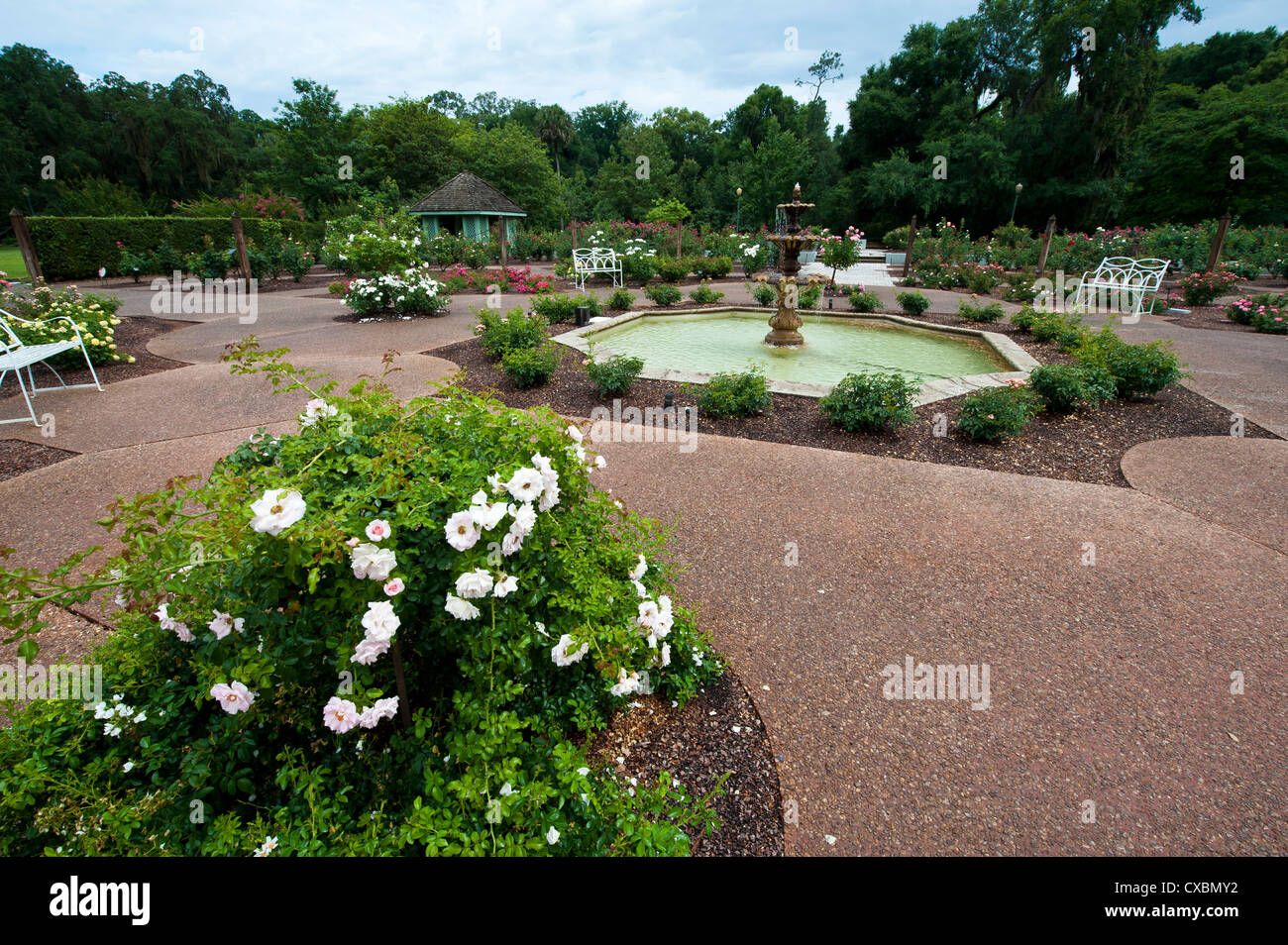 Harry P. Leu Gardens, Orlando, Florida, Vereinigte Staaten von Amerika, Nordamerika Stockfoto