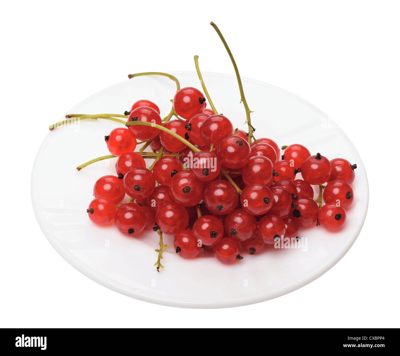 Zweig der Beeren, Johannisbeeren, isoliert auf weißem Hintergrund Stockfoto