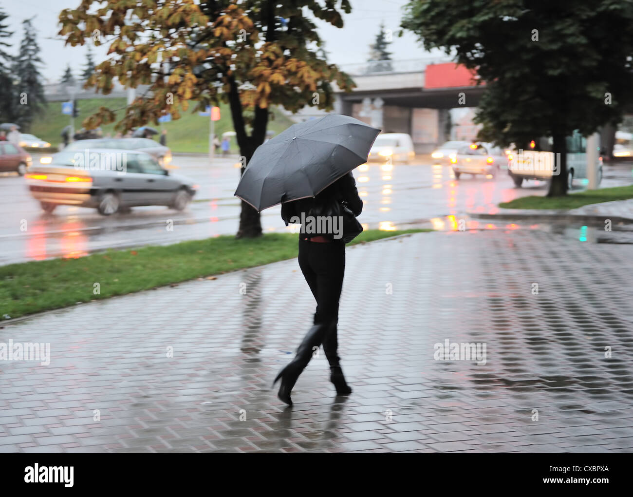 Mädchen unter dem Dach geht auf nassem Asphalt am Abend in der Stadt. Stockfoto
