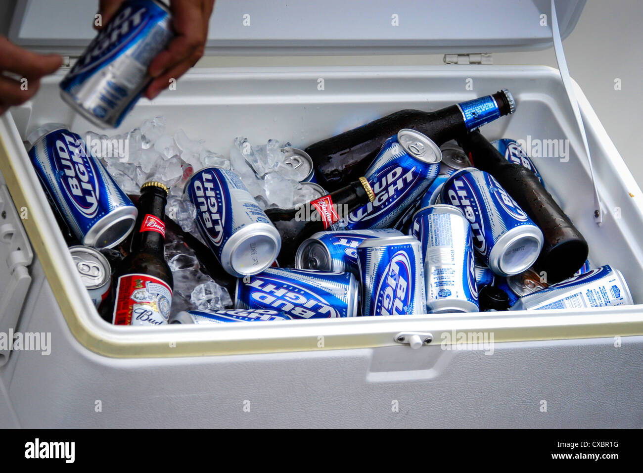 Dosen und Flaschen Bier in einer Kühlbox Stockfotografie - Alamy