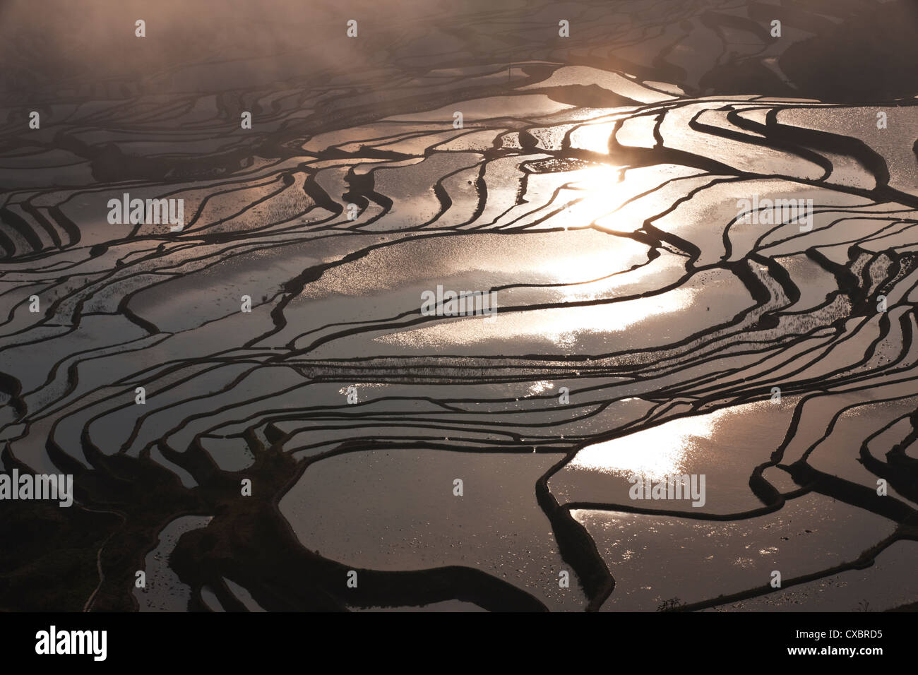 Landschaft, Landschaft, outdoor, Terrassen, Nebel, natürlichen, tagsüber, Wahrzeichen, Wasser, Fotos, Pflanzen, Sehenswürdigkeiten, Natur, Stockfoto