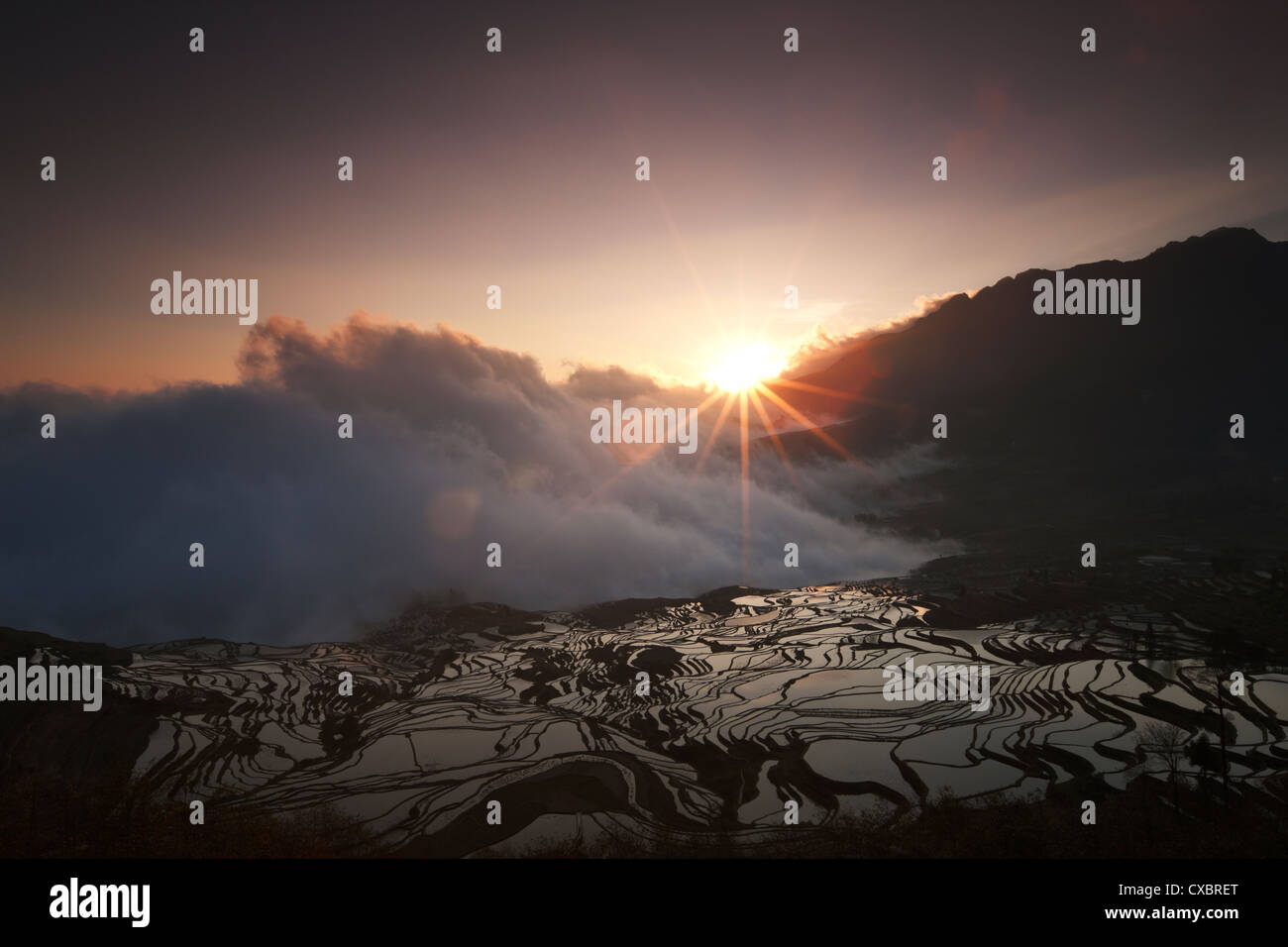 Landschaft, Landschaft, outdoor, Terrassen, Nebel, natürlichen, tagsüber, Wahrzeichen, Wasser, Fotos, Pflanzen, Sehenswürdigkeiten, Natur, Stockfoto