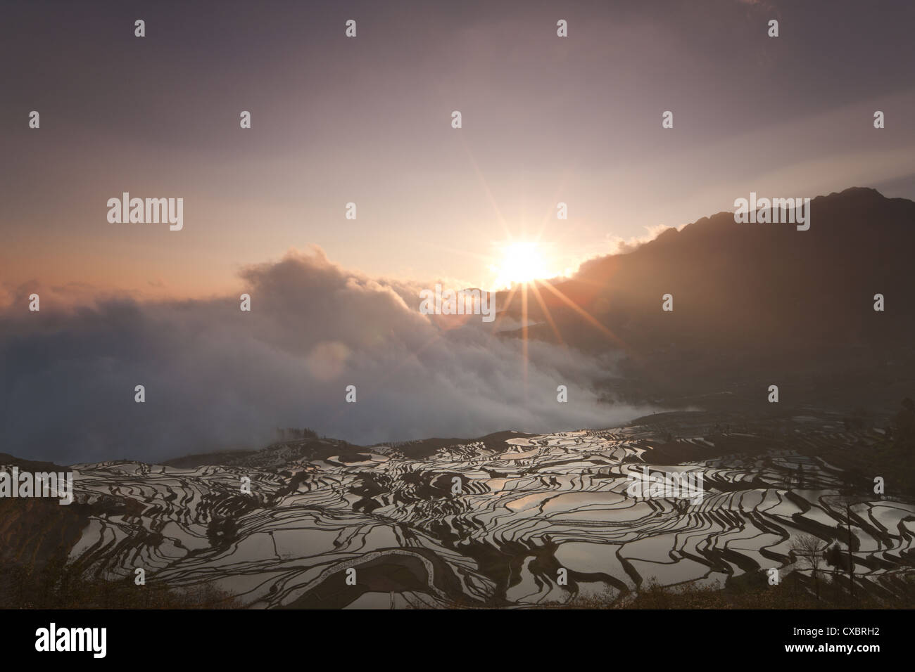 Landschaft, Landschaft, outdoor, Terrassen, Nebel, natürlichen, tagsüber, Wahrzeichen, Wasser, Fotos, Pflanzen, Sehenswürdigkeiten, Natur, Stockfoto