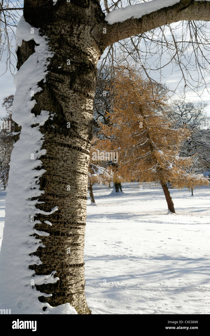 Blick auf Deap Schneefall auf der südlichen Pennines. Stockfoto