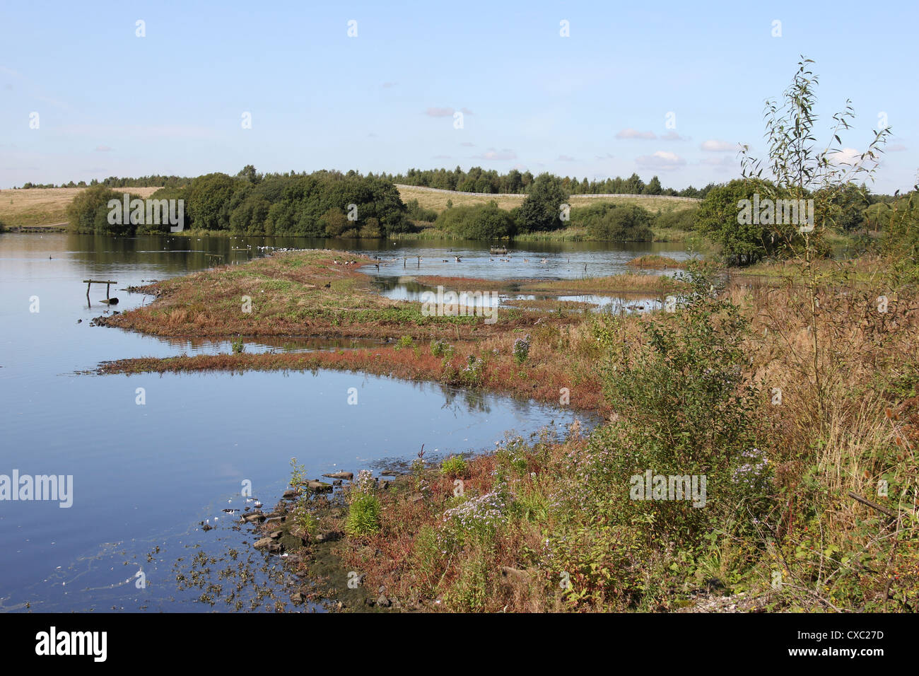 Blick Richtung Wader Schrammen von neuen ausblenden bei Pennington Flash Country Park, UK Stockfoto Blick Richtung Wader Schrammen von neuen ausblenden bei Pennington Flash Country Park, UK Stockfoto