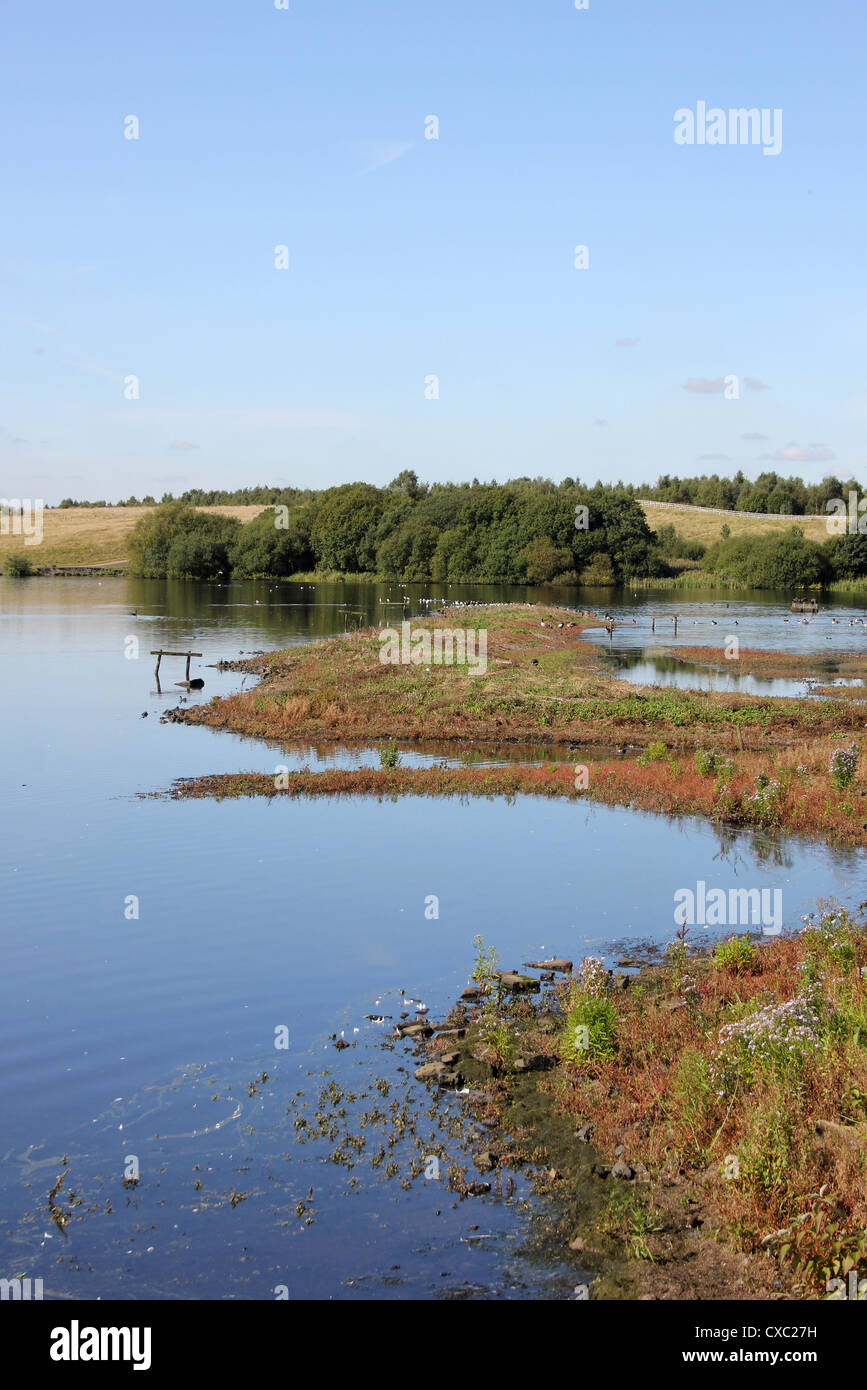 Blick Richtung Wader Schrammen von neuen ausblenden bei Pennington Flash Country Park, UK Stockfoto Blick Richtung Wader Schrammen von neuen ausblenden bei Pennington Flash Country Park, UK Stockfoto