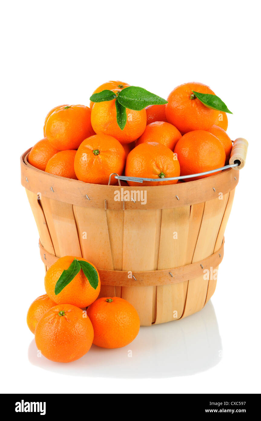 Ein Korb voll von Clementine Mandarinen. Hochformat über einen weißen Hintergrund mit Reflexion. Stockfoto