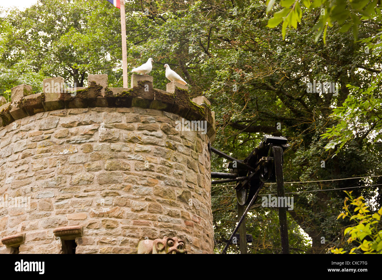 Stone tower mit Wasserspiel und Taube Wasserhuhn und Wasser speienden Wasserspeier, Westonbury Mill Wassergärten, Pembridge, Herefordshi Stockfoto