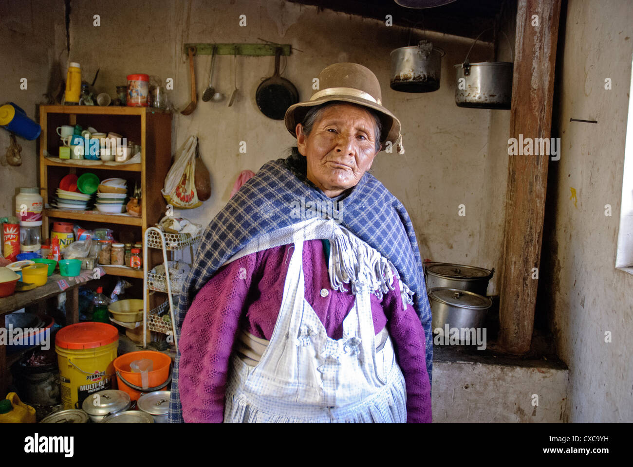 Aymara alte Frau in den Kordilleren Stockfoto