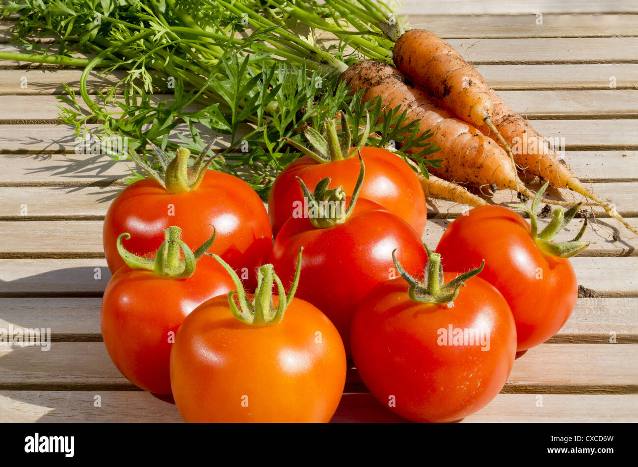 Frisch gegraben, Bio-Karotten und Tomaten auf einem Tisch aus Teakholz - Landschaft Stockfoto