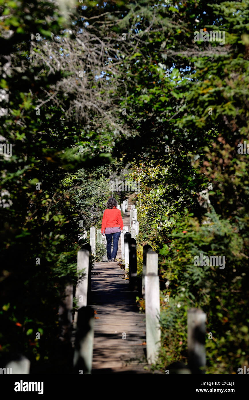 Eine Frau auf dem Weg zur Balancing Rock, Long Island, Nova Scotia, Kanada Stockfoto