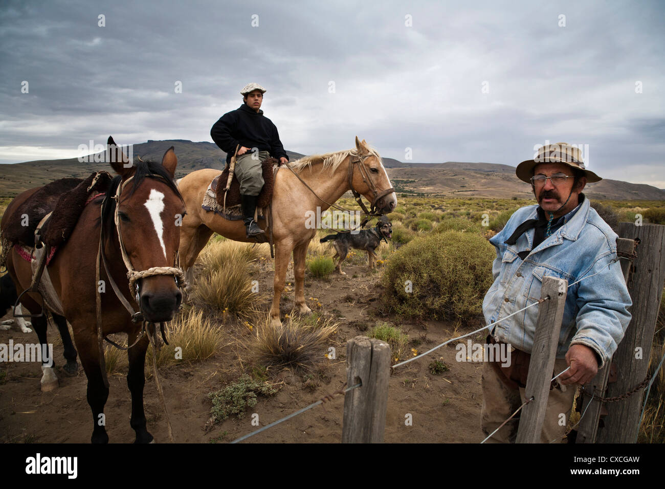 Gauchos, Reitpferde, Patagonien, Argentinien. Stockfoto