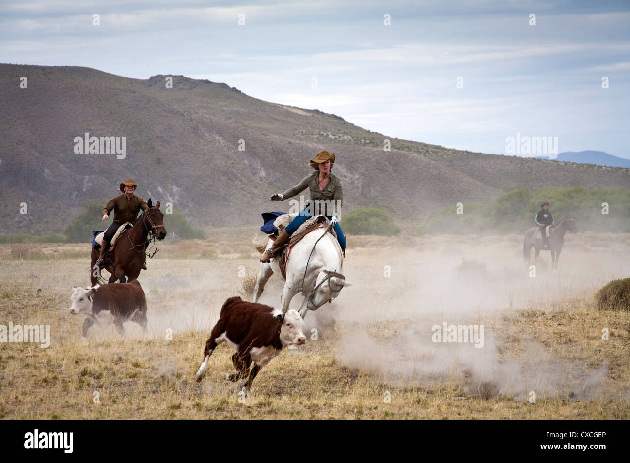 Touristen und Gouchos mit Rindern auf der Huechahue Estancia, Patagonien, Argentinien. Stockfoto