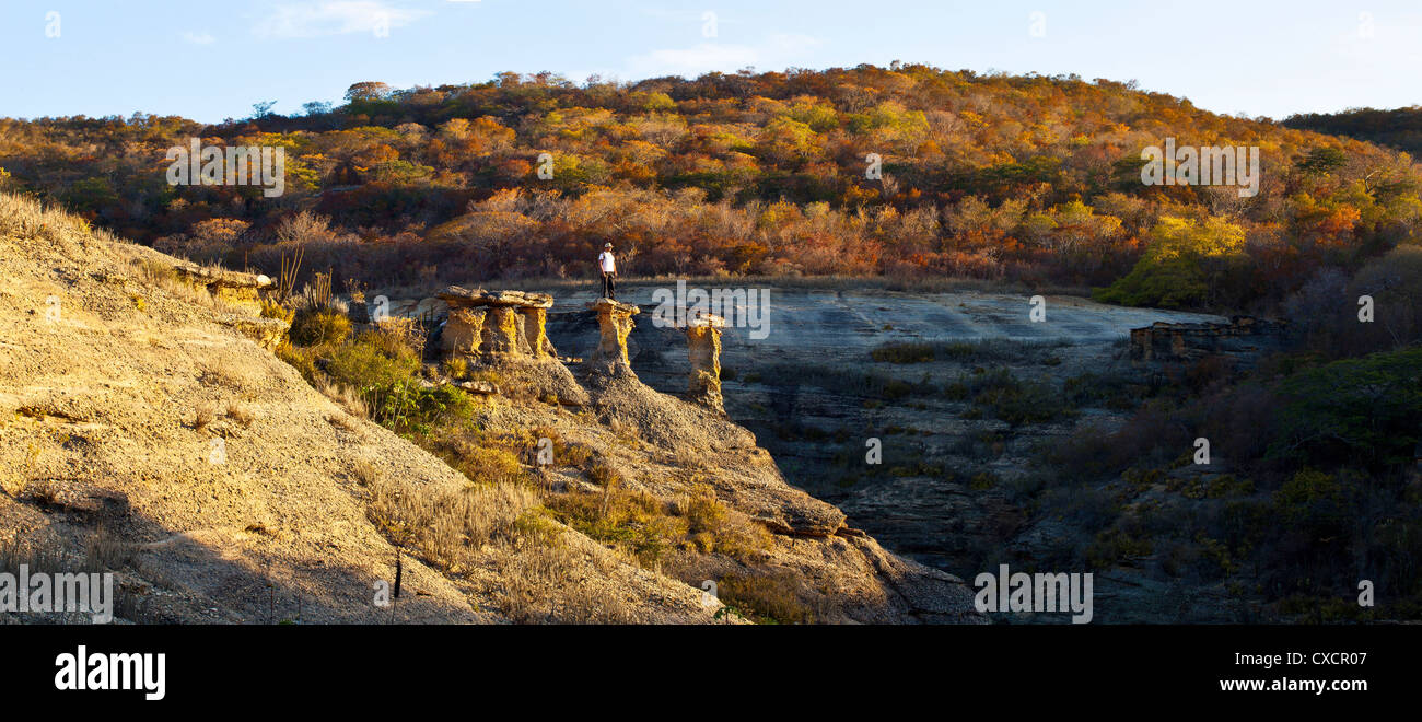 Torres Caldeirao Grande Parque Nacional da Serra da Wasserschweine Wasserschweine Mountains National Park Piauí Zustand Nordosten Brasiliens Stockfoto