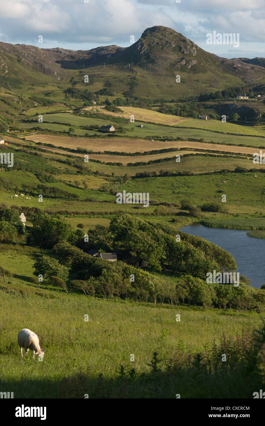 Emerald Isle. Sanfte Hügellandschaft in der Nähe von Fanad Head, North Donegal, Irland. Stockfoto