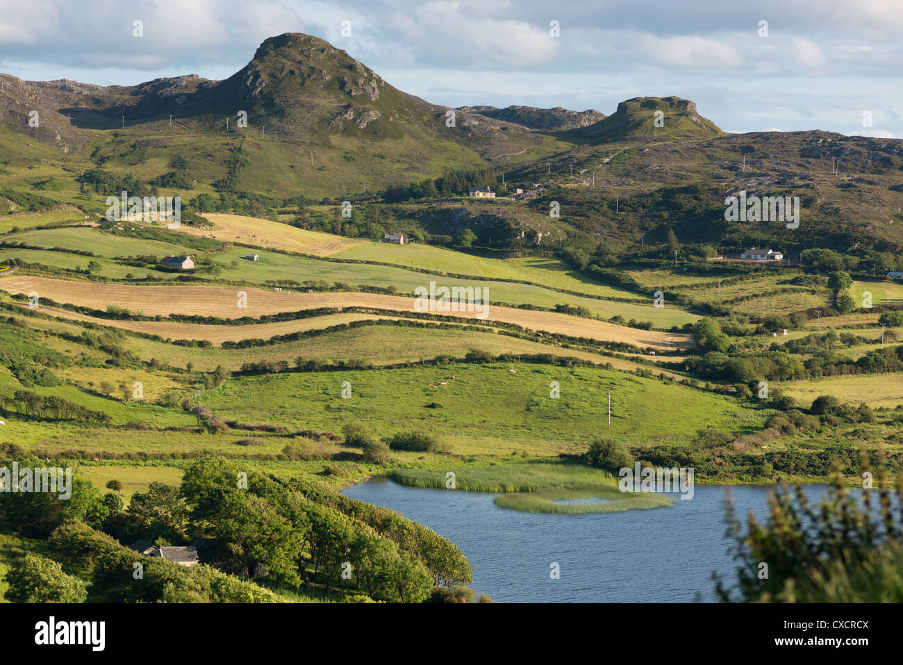 Emerald Isle. Sanfte Hügellandschaft in der Nähe von Fanad Head, North Donegal, Irland. Stockfoto