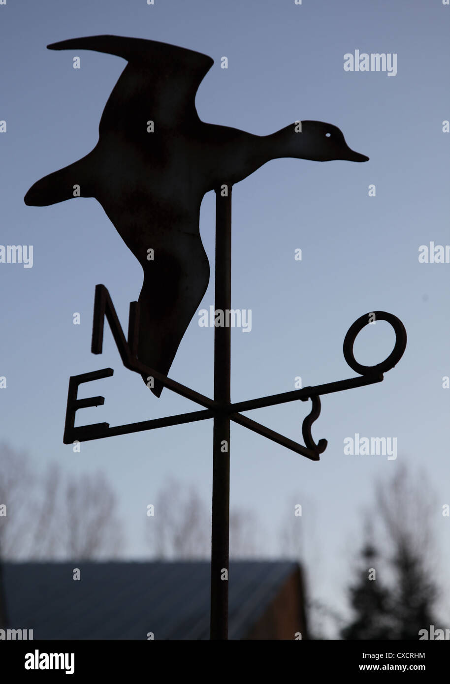 Es ist ein Foto von einem Wetterhahn an einem Stock befestigt. Es gibt im Norden, Süden, Osten und Westen. Es ist wieder leicht Stockfoto