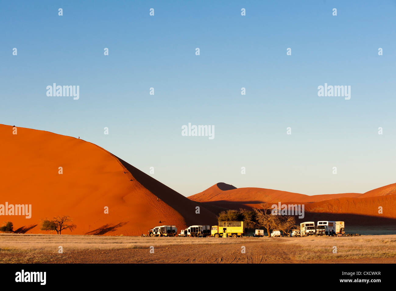 Düne 45, Sossusvlei, Namib-Naukluft-Park, Namib-Wüste, Namibia, Afrika Stockfoto