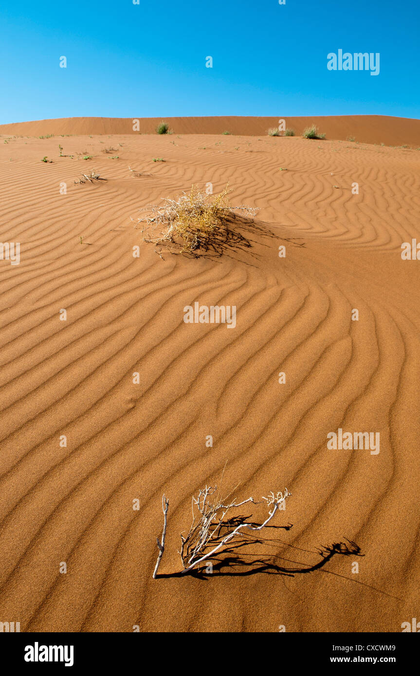 Sossusvlei, Namib-Naukluft-Park, Namib-Wüste, Namibia, Afrika Stockfoto