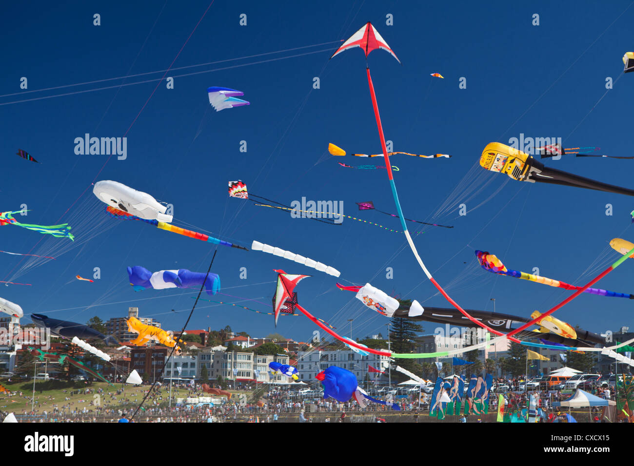 Festival of the Winds, Drachensteigen, Bondi Beach, New South Wales, Sydney Australien Stockfoto
