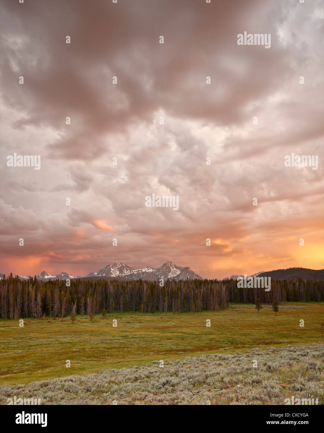 Orange Wolken bei Sonnenuntergang über den Sawtooth Mountains, Sawtooth National Recreation Area, Idaho, Vereinigte Staaten von Amerika Stockfoto