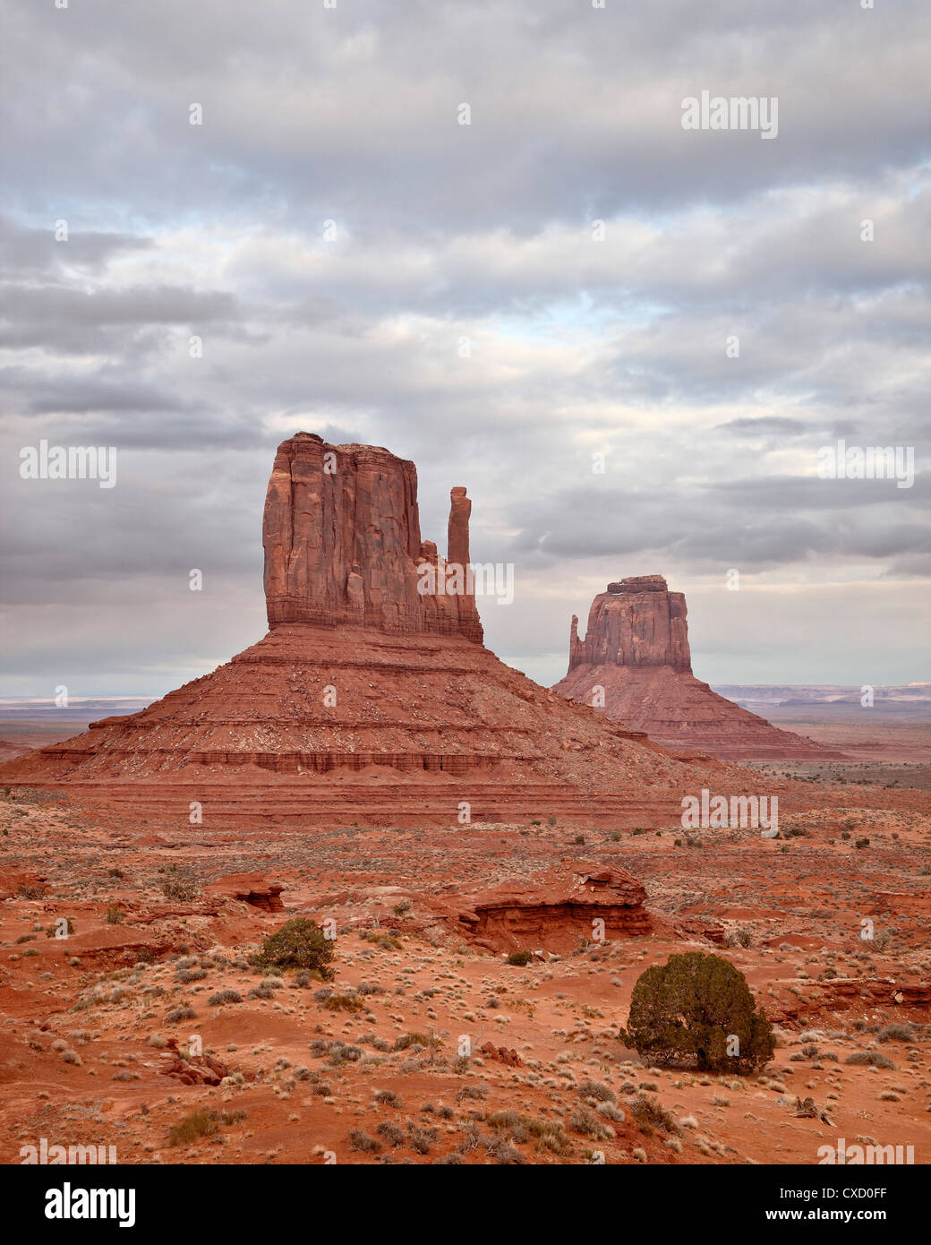 Die Fäustlinge, Monument Valley Navajo Tribal Park, Arizona, Vereinigte Staaten von Amerika, Nordamerika Stockfoto