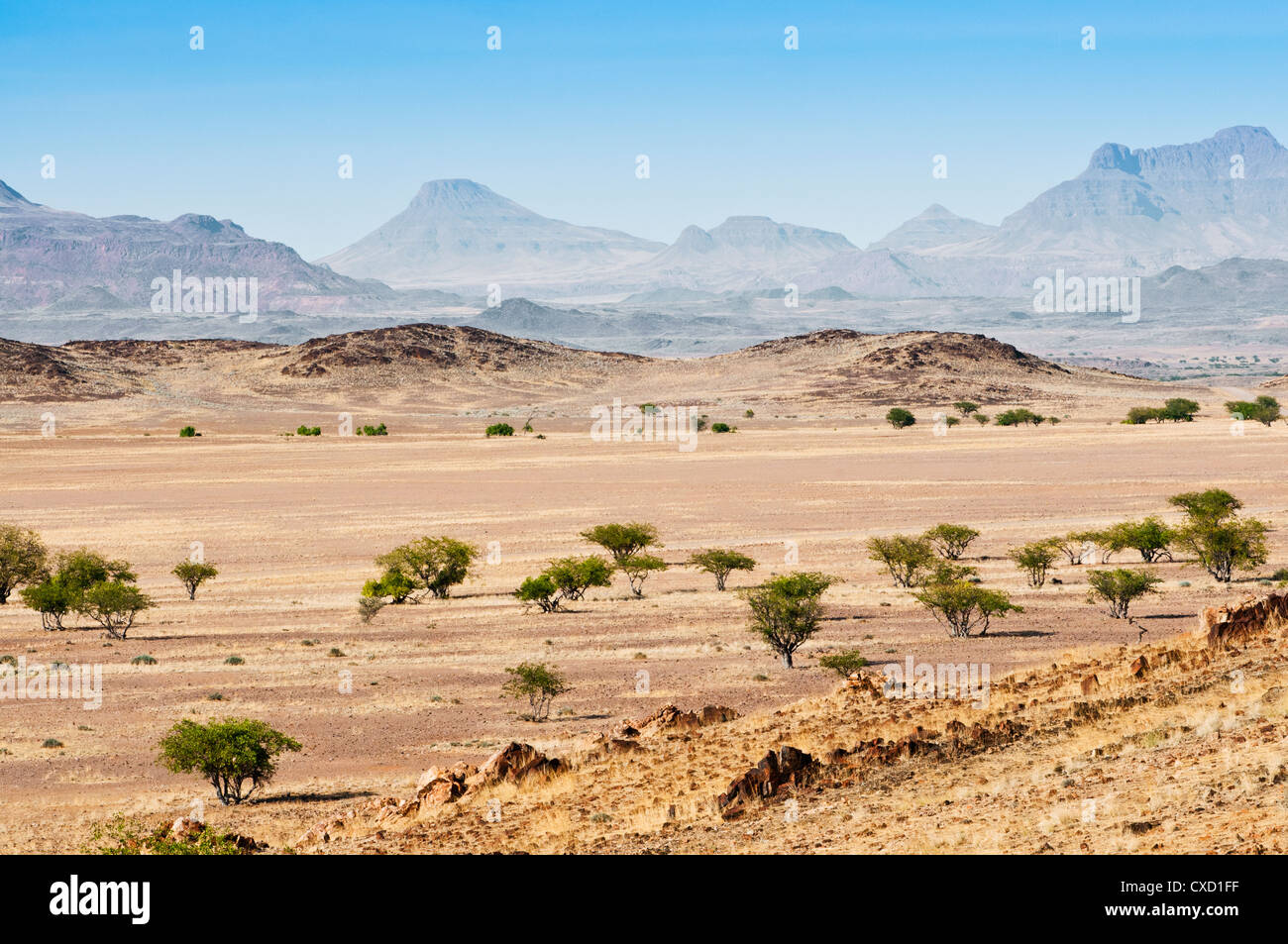 Damaraland, Kunene Region, Namibia, Afrika Stockfoto