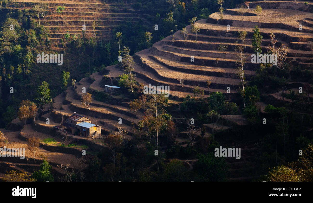 Kleines Dorf und terrassierten Feldern am Fuße des Himalaya, in der Nähe von Kutumsang Helambu Region, Nepal Stockfoto