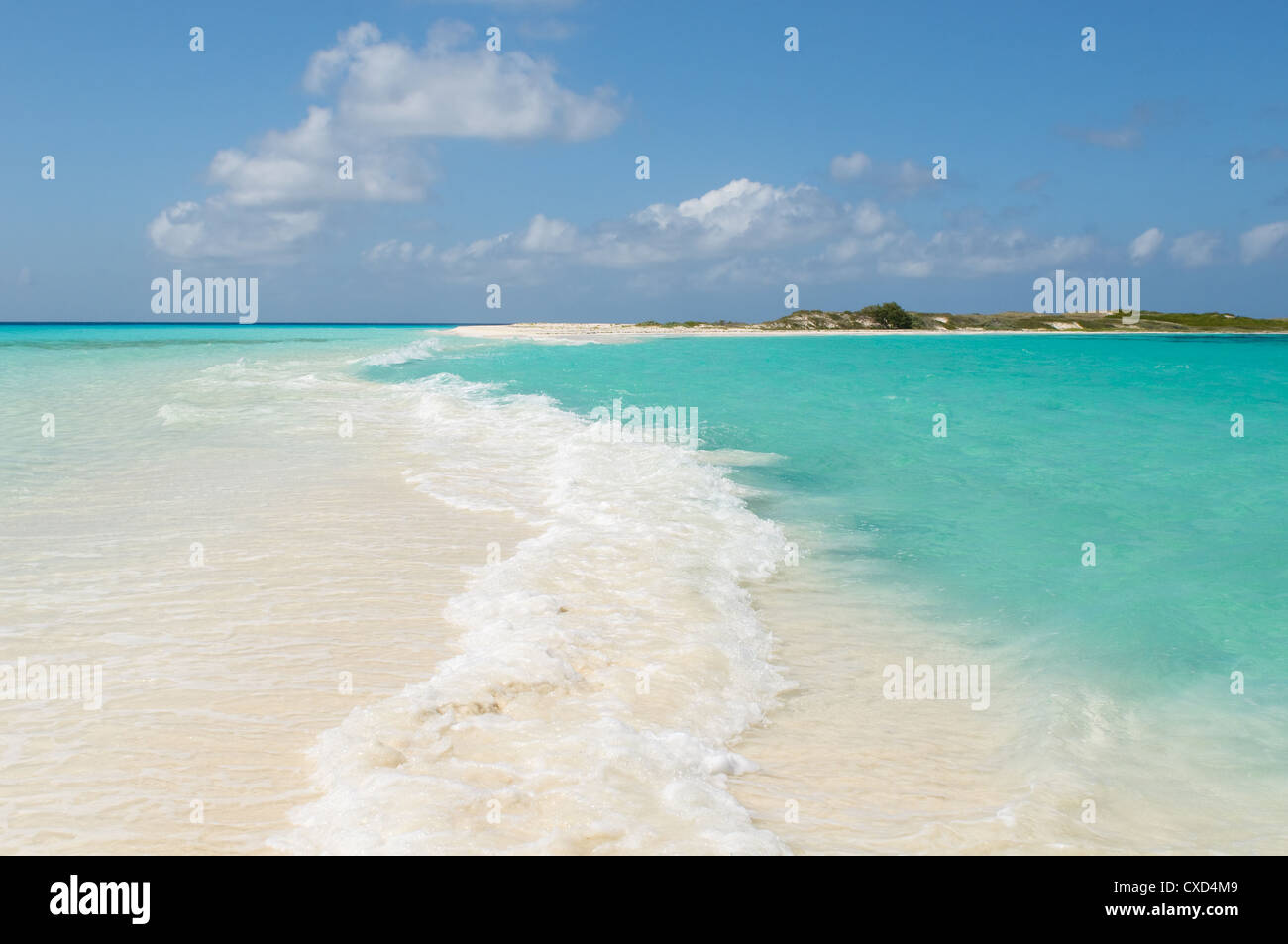 tropischer Strand, Los Roques Inseln, venezuela Stockfoto