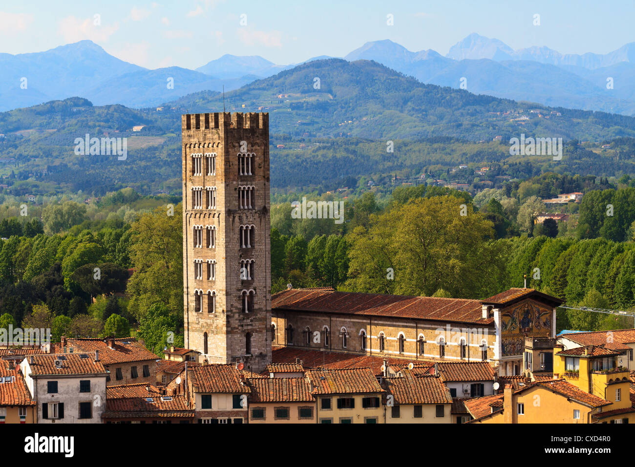 Lucca, Toskana - Blick über Altstadt (Italien) Stockfoto