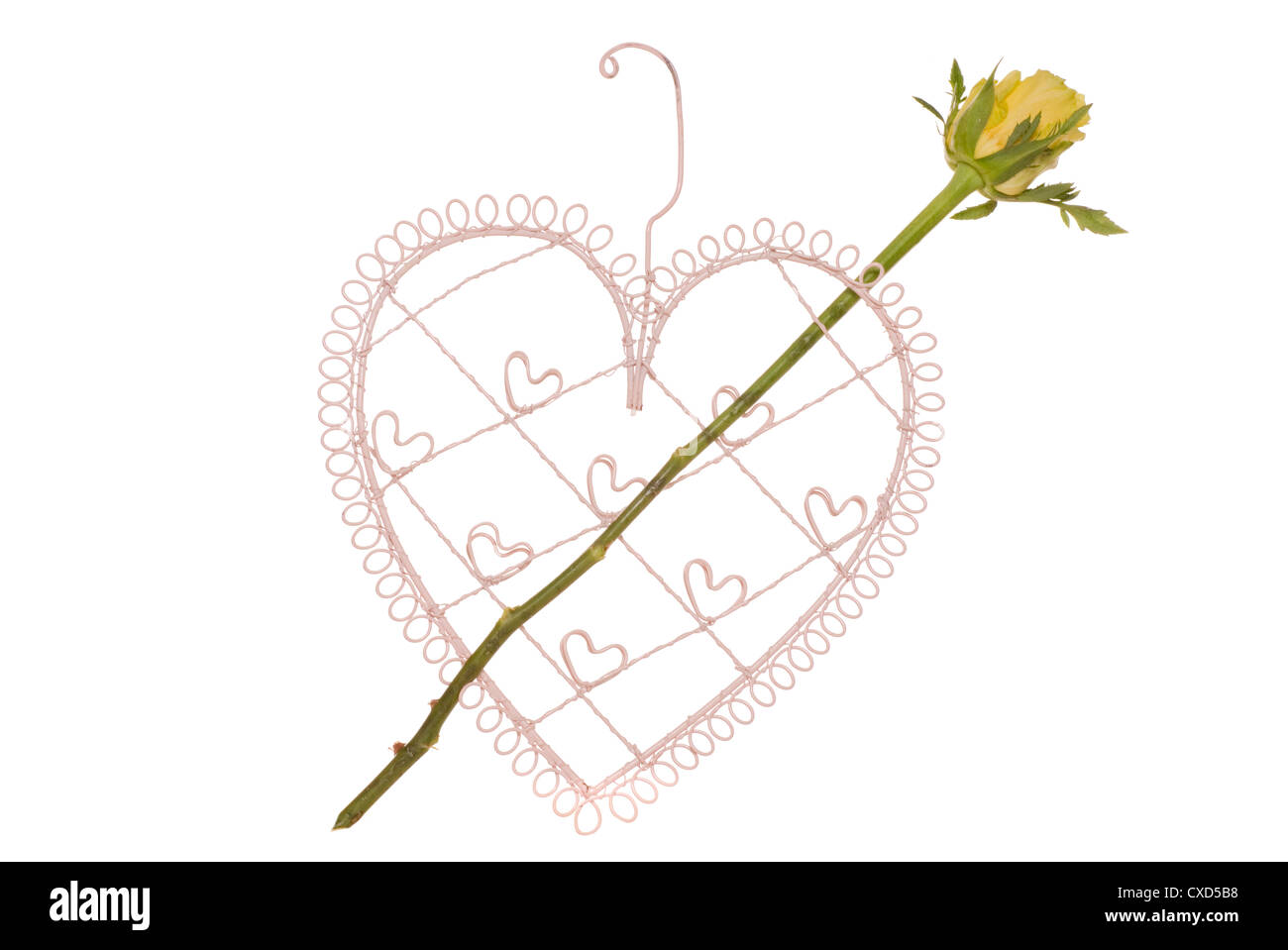 Herzform mit gelber rose Pfeil Studio Ausschnitt Stockfoto