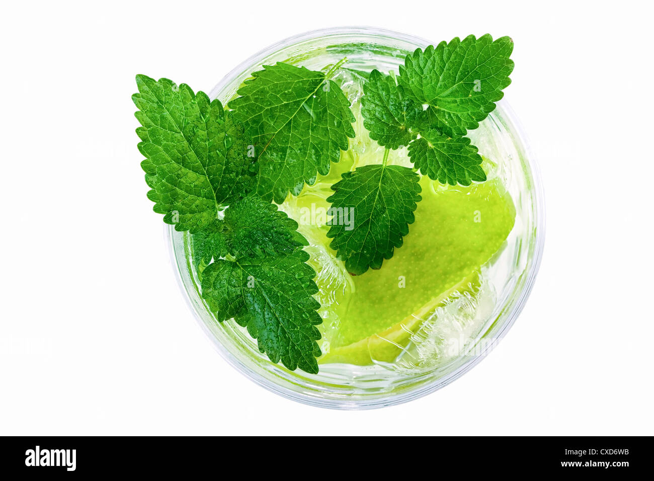 Mojito cocktail Stockfoto