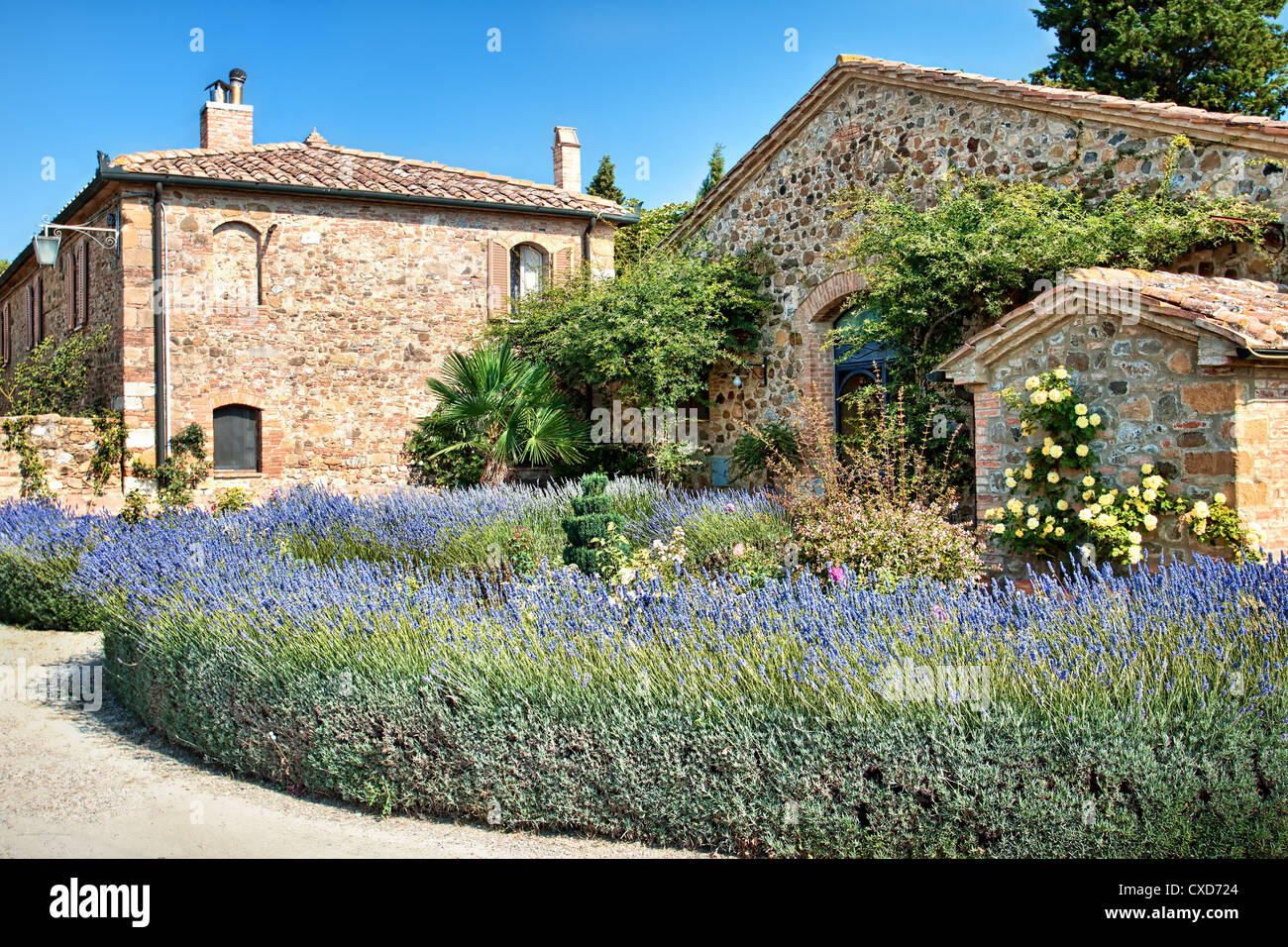Schönen malerischen Winkel der ländlichen Toskana Stockfoto