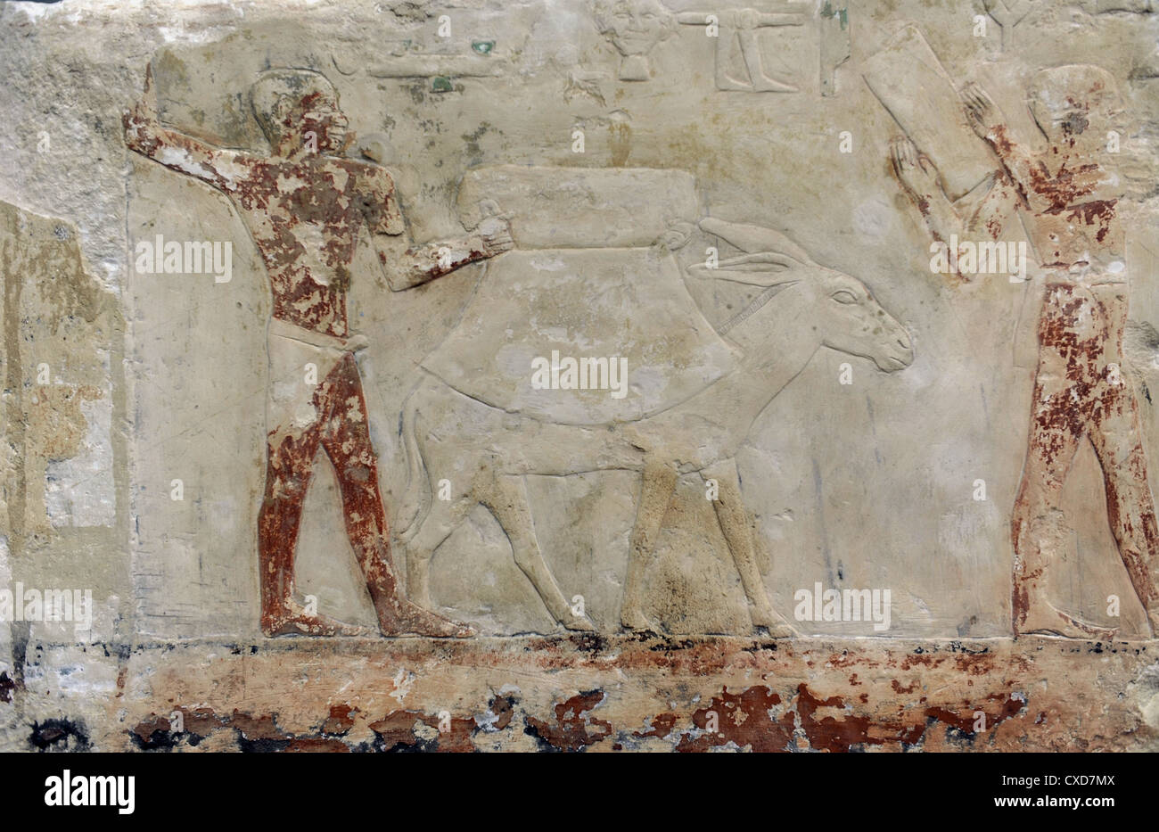 Bei der Ernte bringen. Relief zeigt einen Ausschnitt aus einer Ernte-Szene aus einem Beamten Grab. Kalkstein. 5.-6. Dynastien. Stockfoto