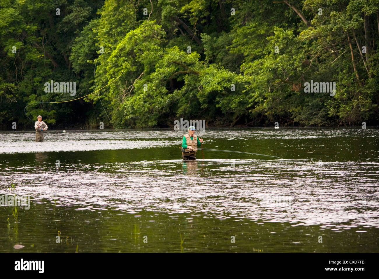 Lachsfischen Flusses Beauly Stockfoto