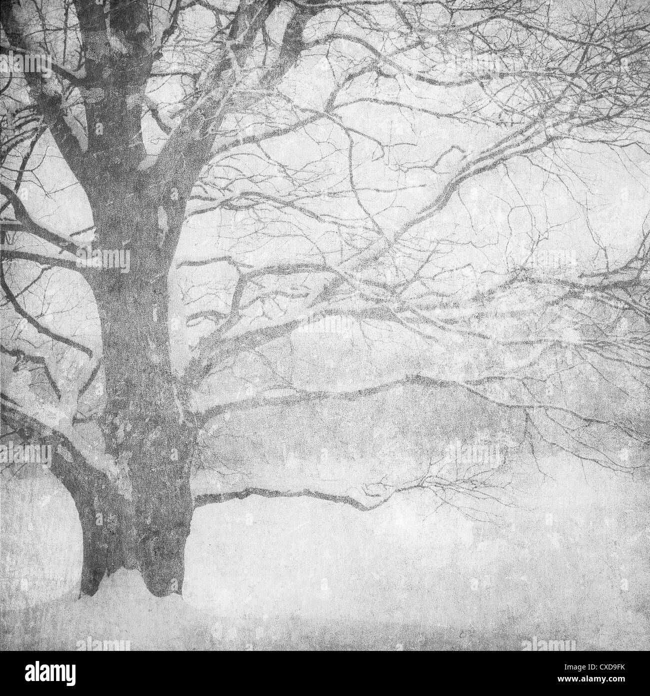 Grunge Bild Winterlandschaft Stockfoto