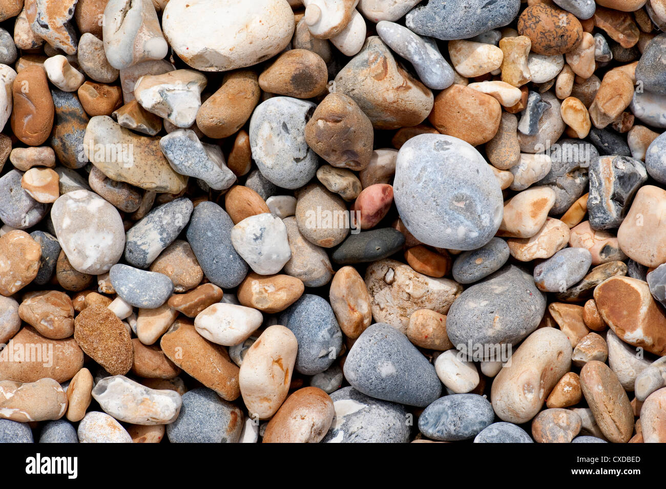Pebble Beach, Sandwich Bay, Kent UK Stockfoto