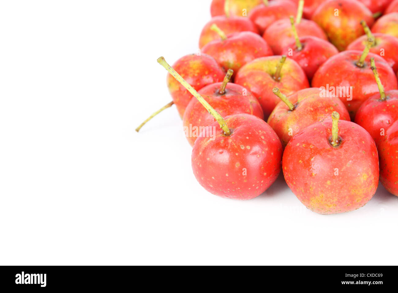 Weißdorn-Obst Stockfoto